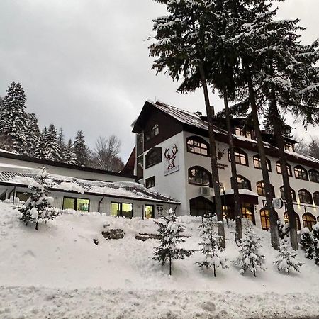 Cerbul Chalet Accommodation & Wellness Rîşnov Eksteriør bilde