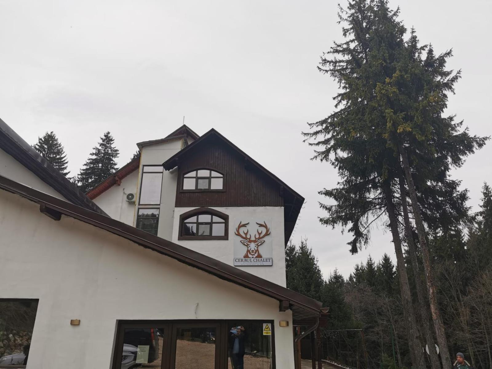 Cerbul Chalet Accommodation & Wellness Rîşnov Eksteriør bilde