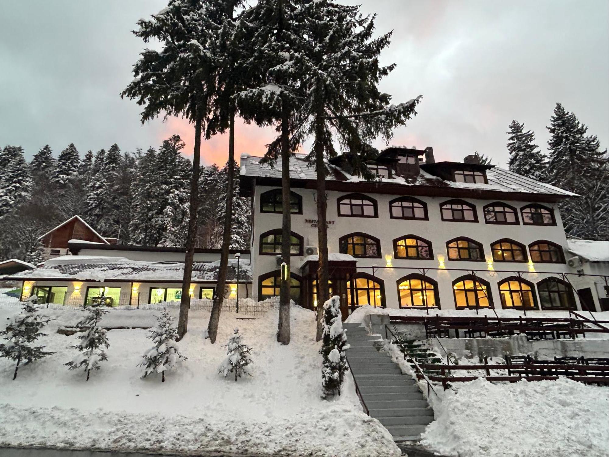 Cerbul Chalet Accommodation & Wellness Rîşnov Eksteriør bilde