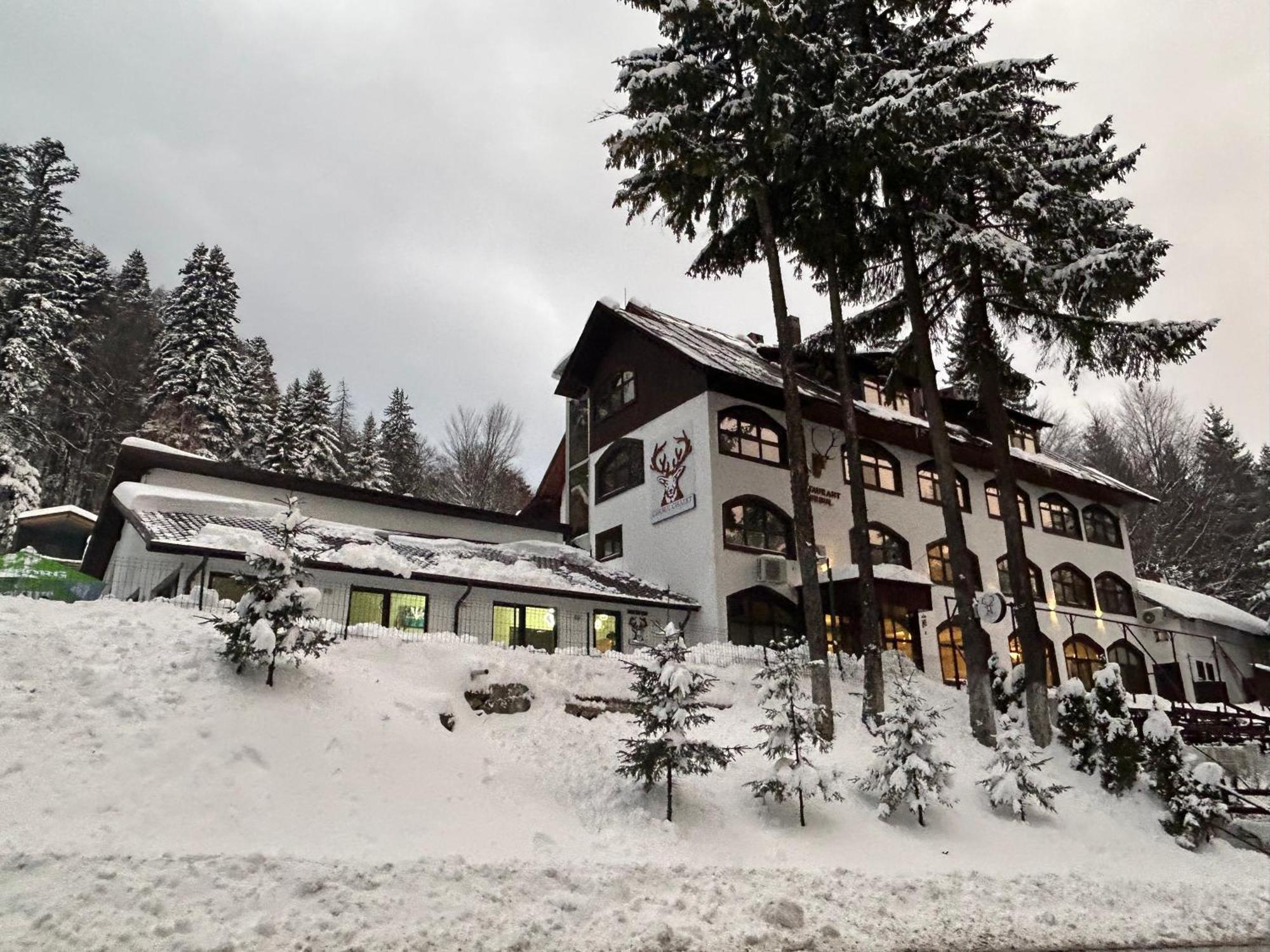 Cerbul Chalet Accommodation & Wellness Rîşnov Eksteriør bilde